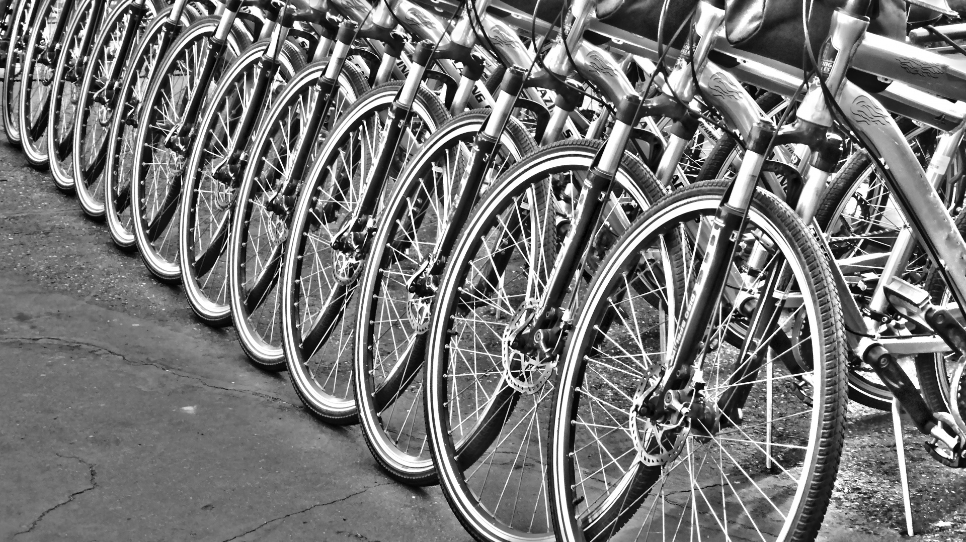 bicycle cartel